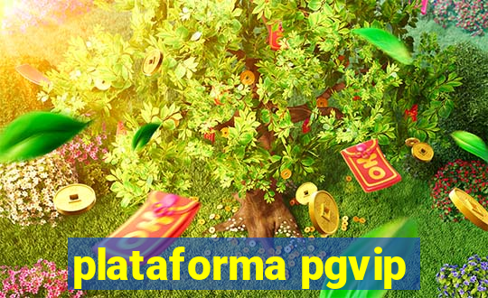 plataforma pgvip